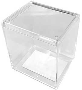 CanDo Long Clear Case 8.1 × 6.6 × 9.1cm 4906137326319