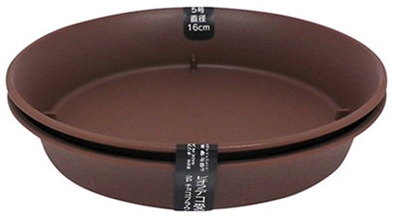 CanDo Viola Deco Saucer No. 5, Chocolate Brown 16 × 2.7 cm, 2 Pcs 4965534598729