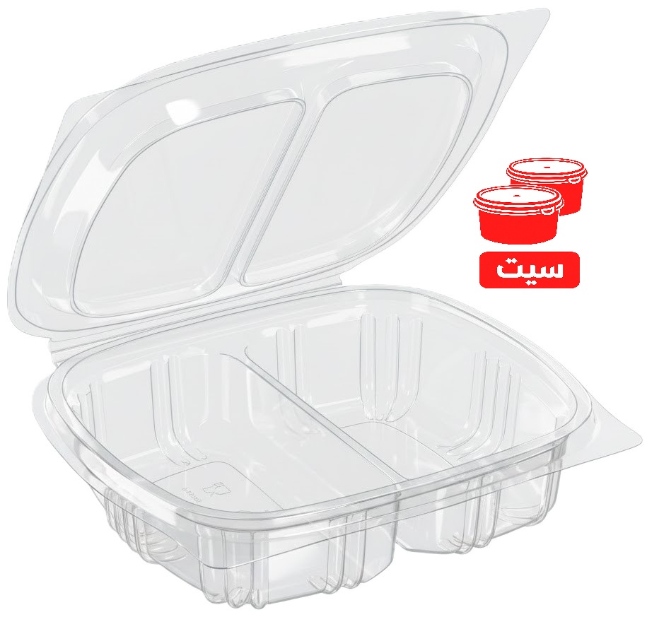 Rectangular 2-Compartment Crystal-Clear Appetizer Tray, 250 ml Capacity, Made of PET Plastic, with Attached Airtight Lid, Suitable for Fast Food Restaurants, Set Of 25 Pieces | 836-S25
