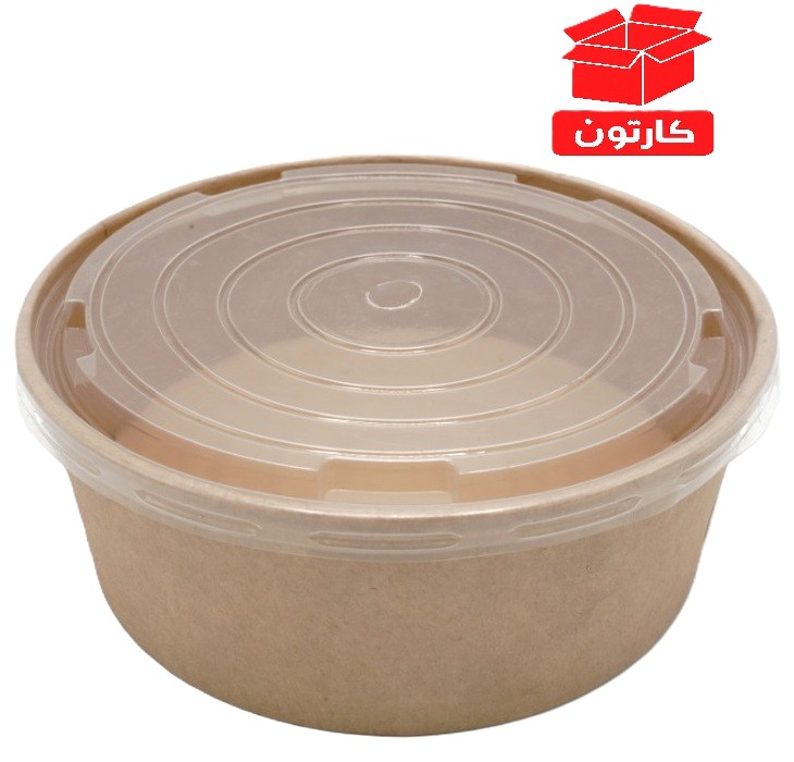 Rizo Round Kraft Paper Box, 1000ml, Medium Size, 18cm Diameter and 5.5cm Depth, with Transparent Plastic Lid, Disposable, Carton of 300 Pieces | 857