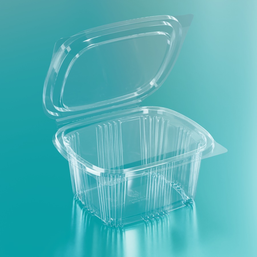 Alnamaa Deli Box 0.5 kg PET - Transparent Color, 500 cc Capacity