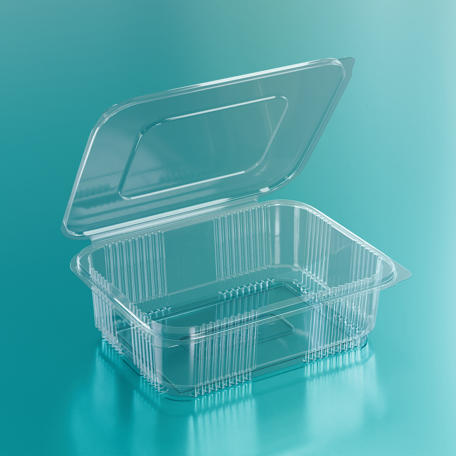 Alnamaa Deli Box 750 g PET - Transparent Color, 750 cc Capacity