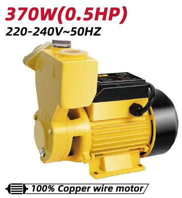 Deli Self-priming peripheral water pump 370W 0.5Hp 1-inch pipe diameter 35L/min flow rate 32m max head DL-GSP370-E1