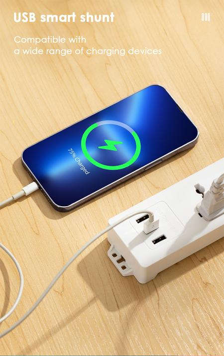 ديلي سيار كهربائي مزود بمقبسين عالميين و3 منافذ USB وكابل بطول مترين، وحماية من زيادة التيار وقدرة قصوى 2500 واط T407