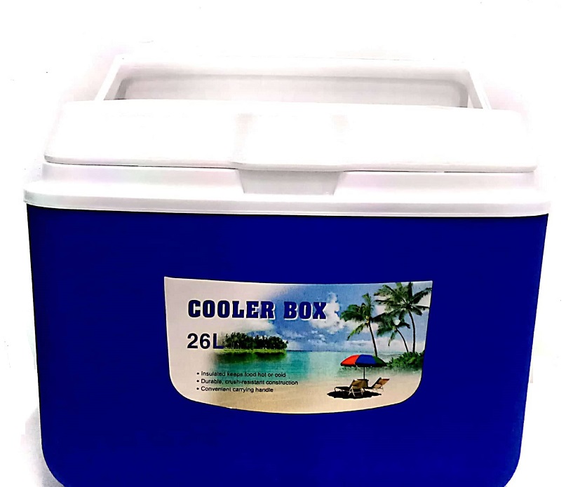 Cooler Box 26 Ltrs, Blue/White C77C