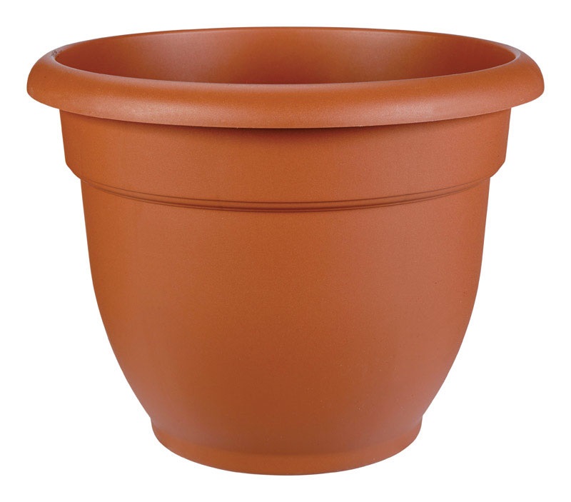 Bloem Bloem Ariana Flower Pot 12 inch terracotta clay size: 12inch