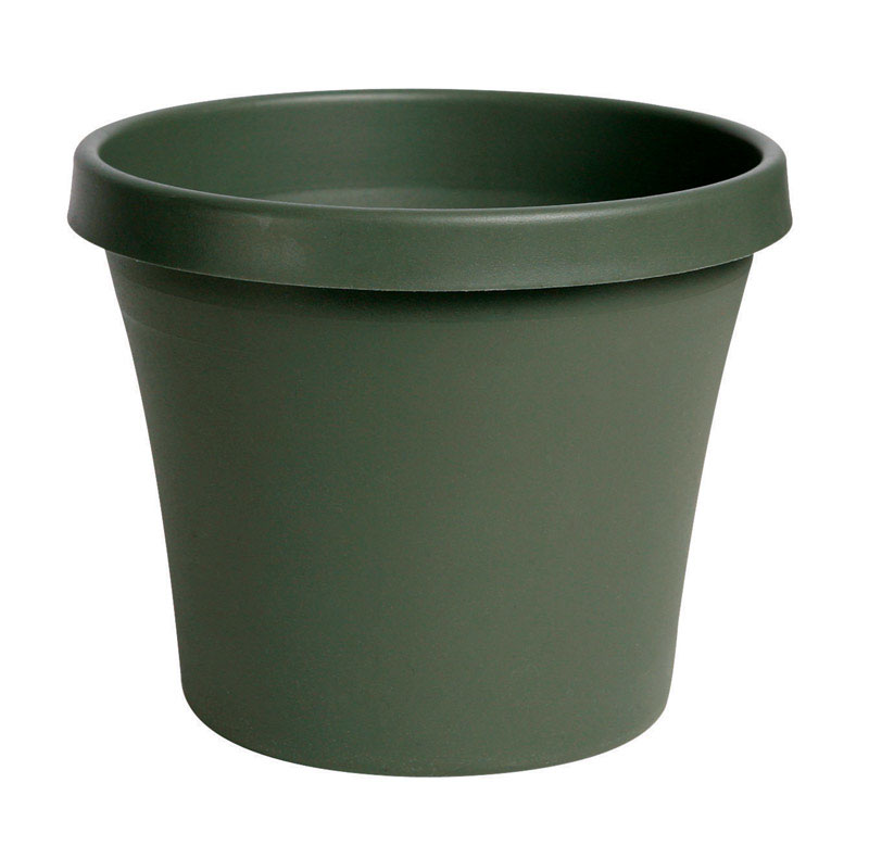 Bloem Bloem Terrapot Flowerpot 10.7inch x 12inch thyme green size: 10.7inch x 12inch