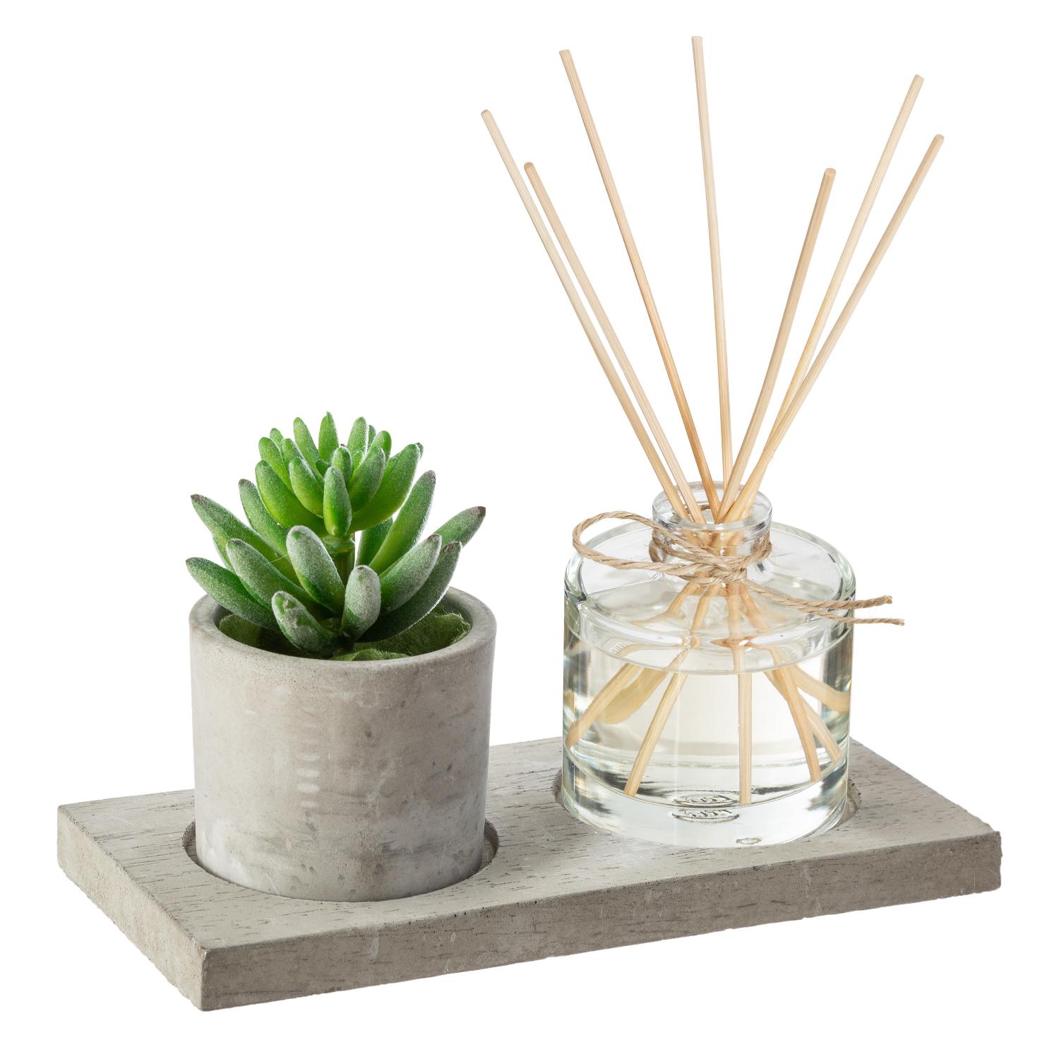 Comptoir de la Bougie Plant Tray Fragrance Giftbox 162000