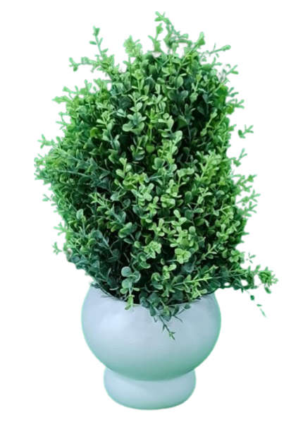 ايس نبات اصطناعي أو نبات صناعي 70500042