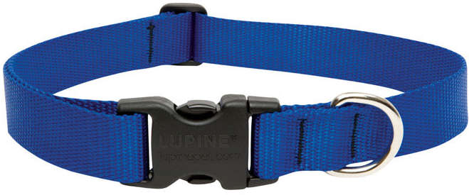 إيغلو مبرد مياه بلاستيكي صناعي سعة 10 جالون أصفر/أحمر 84245