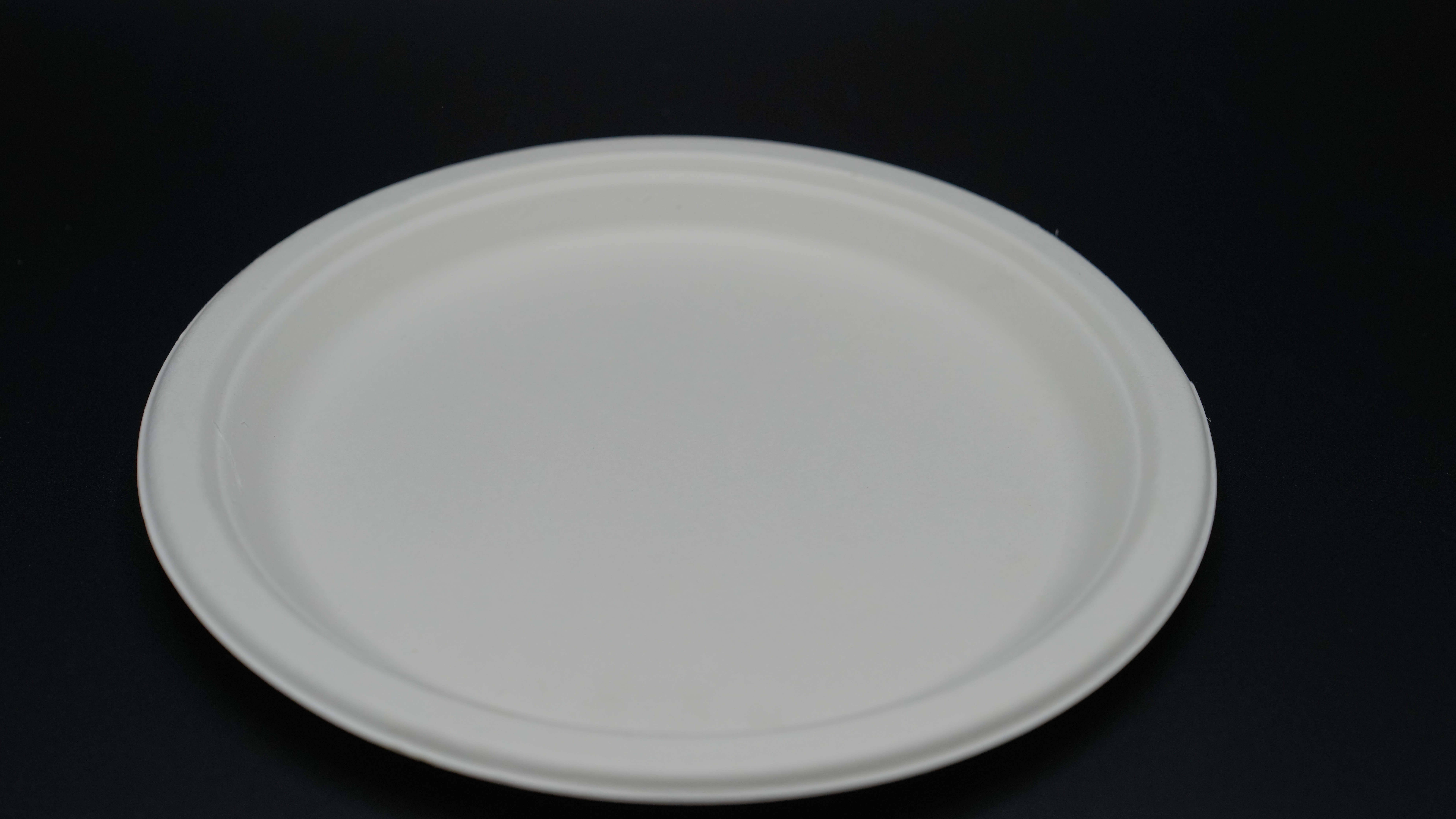 cardboard food container 10 inch with a rough texture good quality 10Pcs