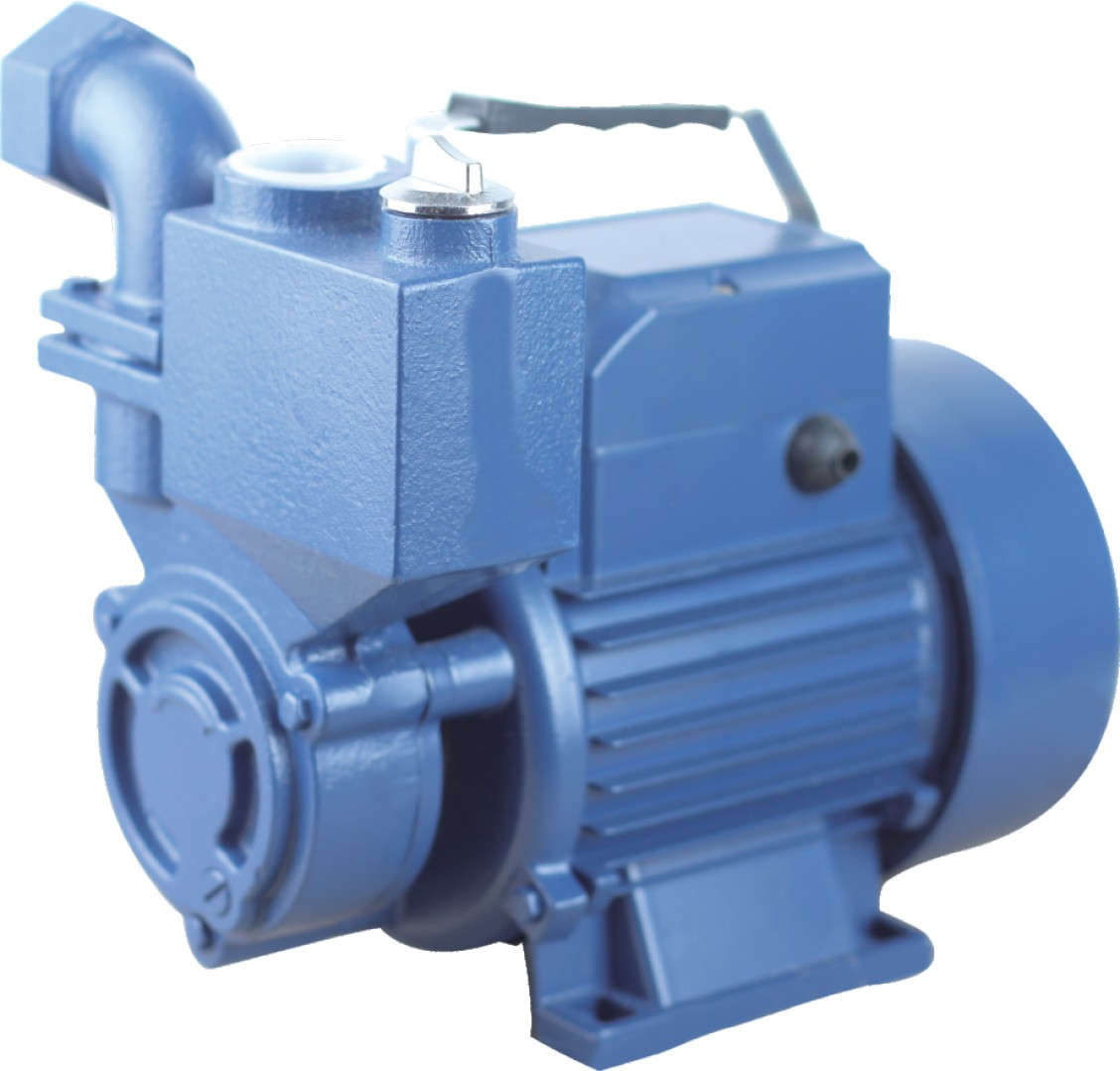 DAFU Home thief motor 500W 1WZB45A