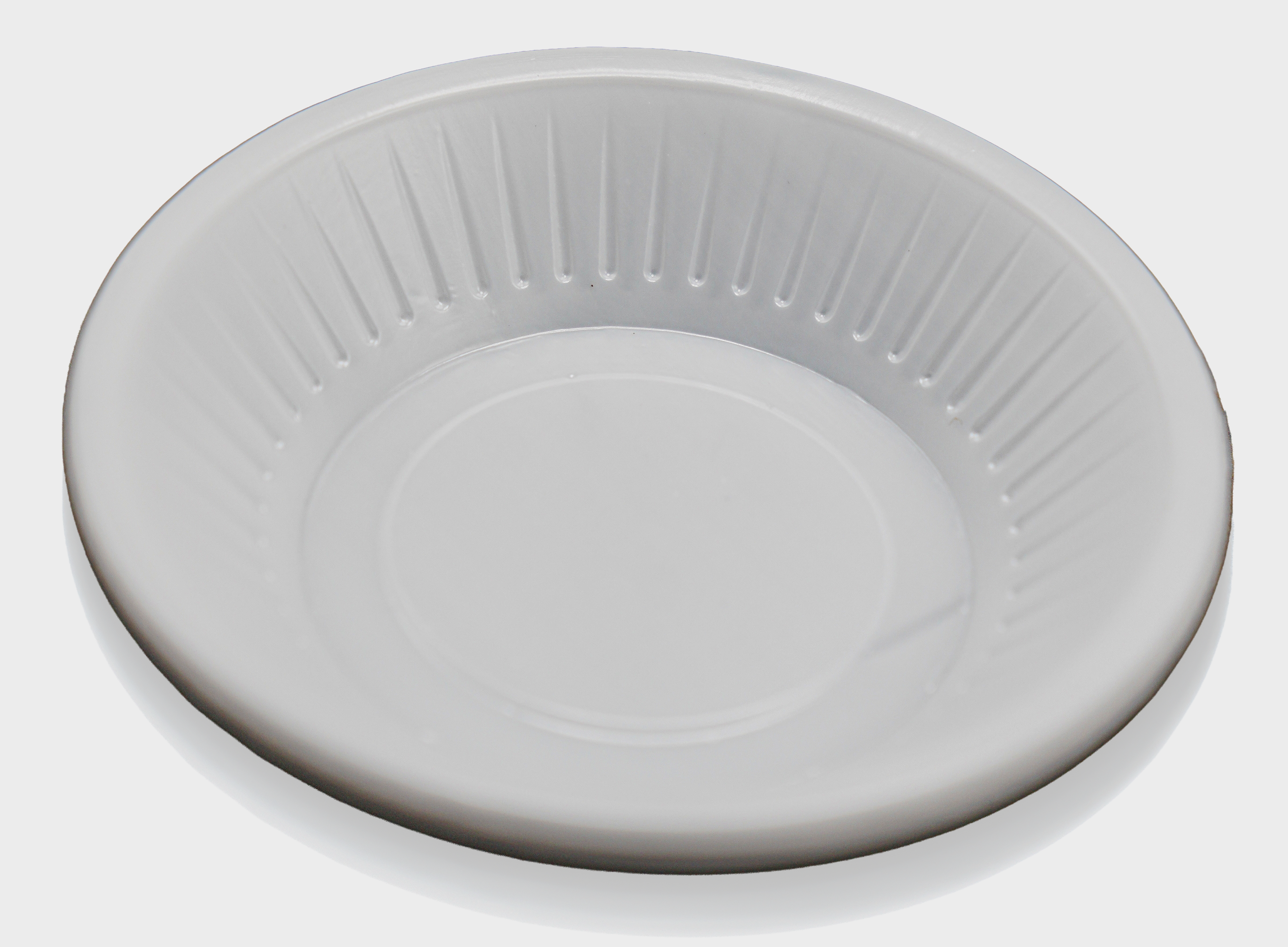 Plastics & Packaging Plastic Plates 100 Pcs PL-5796-Set